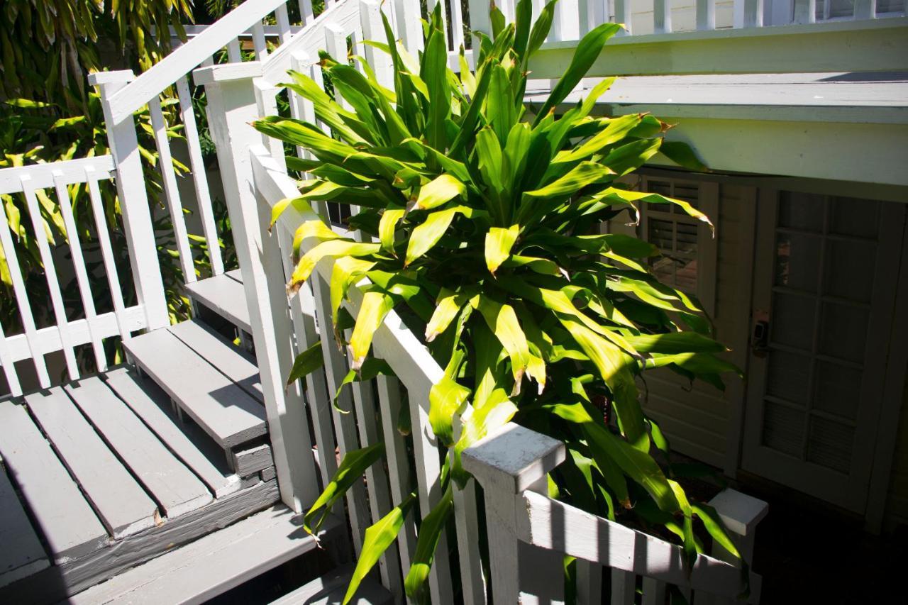 Hotel The Garden House Key West Exteriér fotografie